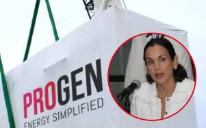 Composición fotográfica de los cargamentos de Progen que llegaron a Ecuador y la exministra Inés Manzano.