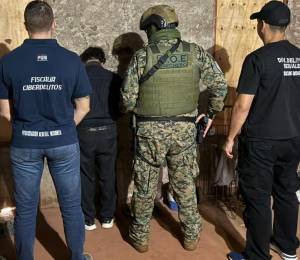 Se realizaron 95 arrestos en 17 países en una operación contra la distribución de material de abuso sexual infantil.