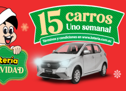 Los ganadores tendrán un plazo máximo de tres meses, contados desde el día siguiente a la fecha de cada sorteo, para reclamar su premio.