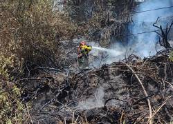 El sujeto el incendio de más de 1.200 metros de vegetación.