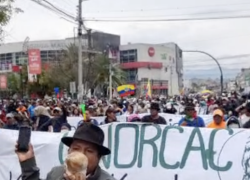 Indígenas de Cotacachi arribaron a Ibarra, capital de Imbabura.