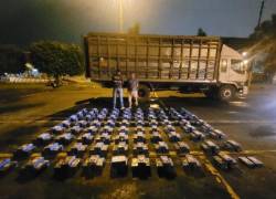 Media tonelada de droga fue decomisada dentro de un camión en Santo Domingo de los Tsáchilas