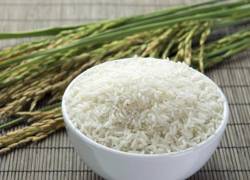 Ecuador proveerá de 104 mil toneladas de arroz a Colombia en 2022