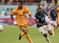 Ecuador enfrenta a Países Bajos en un partido amistoso.