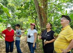 Los visitantes pueden realizar un recorrido donde disfrutarán del entorno natural.