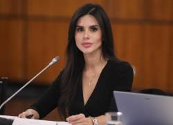 Fotografía de archivo de la presidenta de la Comisión de Transparencia del Legislativo, Diana Jácome.