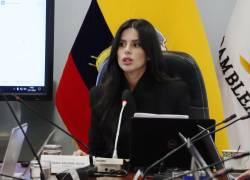 Fotografía de archivo de la asambleísta oficialista Diana Jácome.