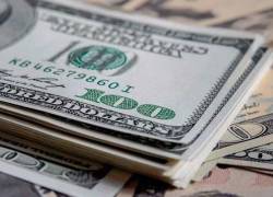 Se hallaron billetes falsos de denominación de 100, 50 y 20 dólares