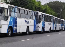 Buses de transporte público en Guayaquil.