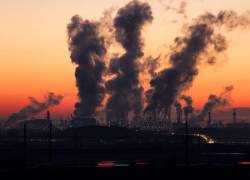 OMS hace un llamado a los mayores contaminadores del mundo para proteger el medio ambiente, reducir el sufrimiento y salvar vidas, de acuerdo a su director general, Tedros Adhanom Ghebreyesus.