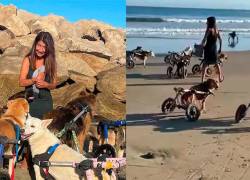 Nuestros bebés amando la vida: mujer llevó a 18 perros con discapacidad a conocer la playa