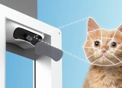 Tecnología: Puertas con reconocimiento facial para mascotas