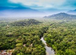 Amazonía registra deforestación récord en febrero
