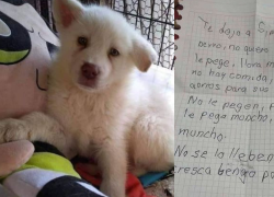 Niño dejó a su perro en un albergue porque era maltratado y continúa enviándole cartas