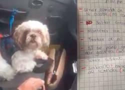 Perro fue abandonado en un taxi con instrucciones para su cuidado. El conductor decidió adoptarlo