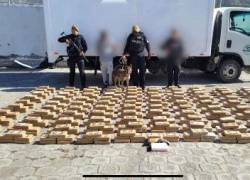 Golpe al narcotráfico: Can Zizi descubre media tonelada de cocaína en ruta a Quito