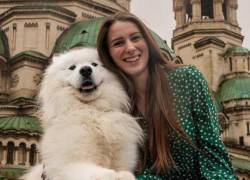 Félix, el samoyedo blanco que conquista las redes con sus aventuras viajeras