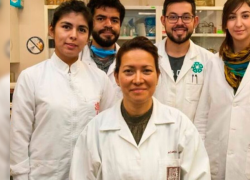 Ramón Gallegos, investigadora del Instituto Politécnico Nacional (IPN), ha desarrollado un tratamiento innovador basado en terapia fotodinámica.
