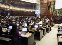 Fotografía referencial de una sesión plenaria de la Asamblea Nacional.