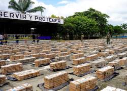 En enero pasado, más de 21 toneladas de droga fueron encontradas en una finca en la ciudad de Vinces, provincia de Los Ríos. Foto: API