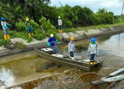 Trabajadores de Petroecuador realizan inspecciones y limpieza del agua en el ducto Libertad-Pascuales que transporta diésel.
