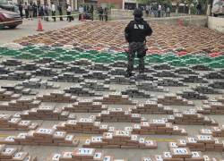 Incautan más de 8 toneladas de cocaína en Guayas: Policía explica el nuevo modus operandi de los narcos