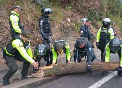 Agentes de la Policía retirando el tronco de un árbol que bloqueaba una vía en Carchi.