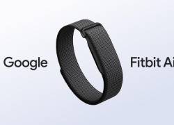 Pulsera inteligente de Google Fitibit Air