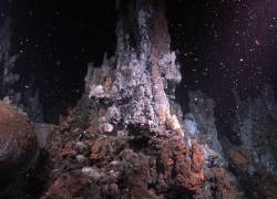 Fotografía cedida hoy por el Schmidt Ocean Institute que muestra chimeneas y estructuras geológicas formadas en respiraderos hidrotermales, en la Islas Galápagos.