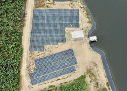 Genera construyó un proyecto fotovoltaico exclusivo para el sector bananero.