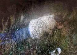 Alias 'Araña' intentó evadir la seguridad con un peculiar traje.