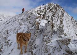 'Thor' sobrevivió a más de 1.600 metros de altura.