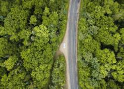 Un carro paseando en medio de un bosque, realizando turismo en medio de la naturaleza.