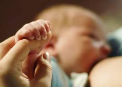 La ley fue publicada en el Registro Oficial con un polémico artículo que reduce el periodo de lactancia materna. ​​​