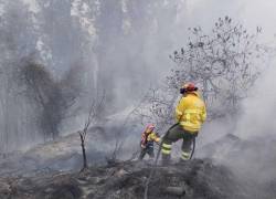 Cerca de 60 efectivos y 14 vehículos se movilizaron para controlar el incendio de La Vicentina e Itchimbía.