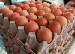 El aumento del precio de la cubeta de huevos se debería a las muertes de aves por gripe aviar.