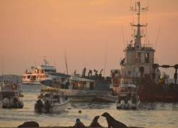 Un comité vigila las rondas de buques extranjeros cerca de aguas insulares