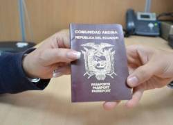 Registro Civil abre más de medio millón de turnos para pasaportes y cedulación