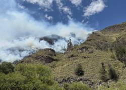 El incendio se concentra en el sector de El Tejar.