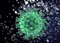 Identifican en Francia una nueva variante del coronavirus con 46 mutaciones (más que Ómicron)