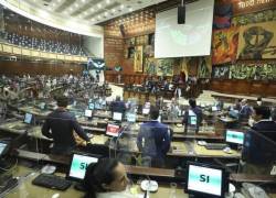Asamblea concede amnistías a 268 personas, entre ellos varios líderes indígenas