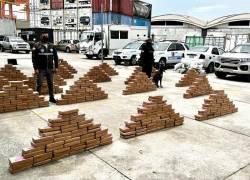 Ecuador es el tercer país del mundo que más droga decomisa. Foto archivo: Policia Nacional
