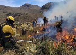 Bomberos controlan incendio en reserva de Andes de Ecuador con unas 800 hectáreas quemadas.