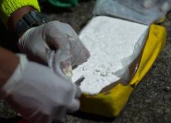 Cae en España una banda que introdujo más de 1.200 kilos de cocaína desde Ecuador y Colombia