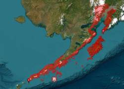 Mapa de Alaska con área de Alaska advertida por un posible impacto de tsunami.