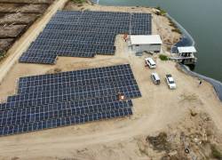 El plan de instalación de los paneles fotovoltaicos en la plantación arrancó en octubre pasado.