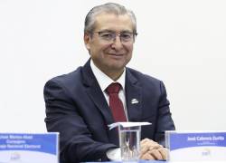 José Cabrera es el nuevo presidente del CNE.