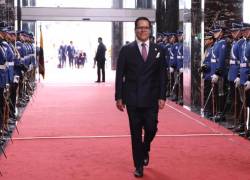 “No hubo contratación pública ni dinero de por medio entre el Estado y HealthBird”, señaló José Julio Neira.