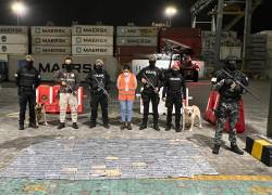 662 paquetes rectangulares con clorhidrato de cocaína.