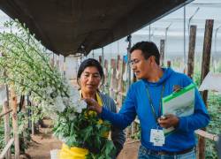 La agricultura representa el 8 por ciento de todos los ingresos económicos del país en un año. Introducir la tecnología en su gestión diaria, busca el aumento de su producción y prevenir posibles catástrofes.